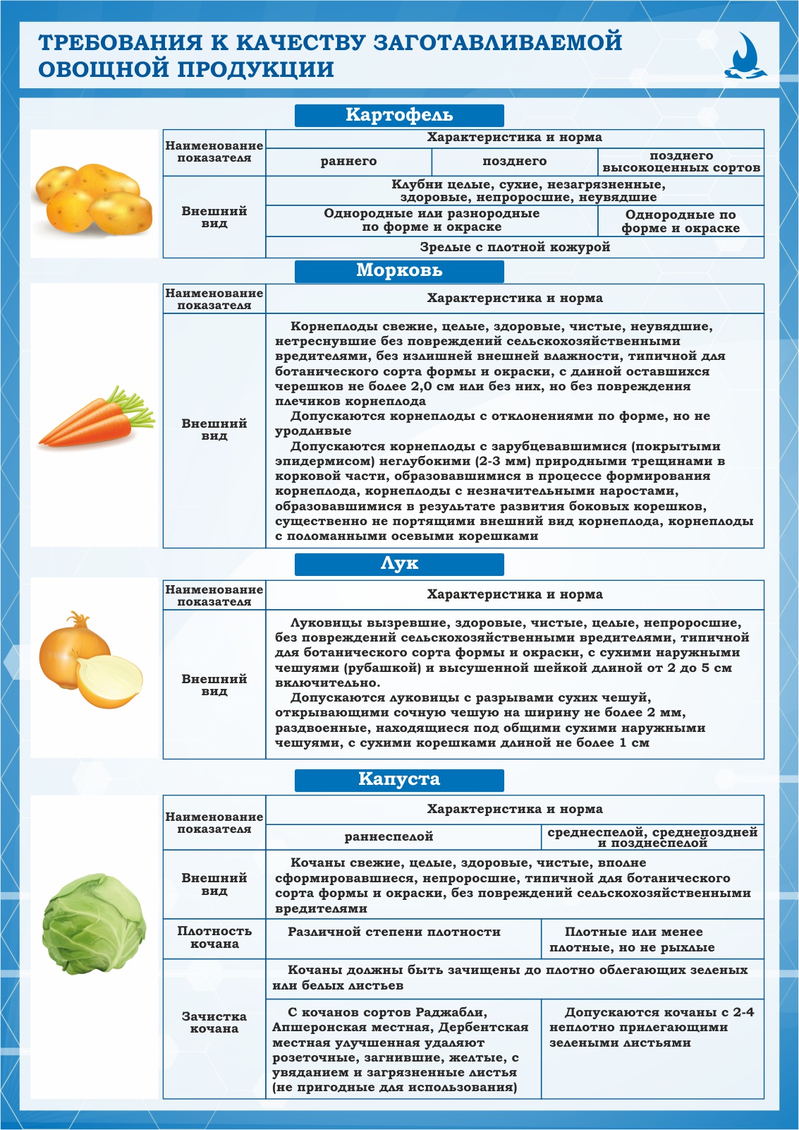 Плакат по охране труда Требования к качеству заготавливаемой овощной продукции в столовой