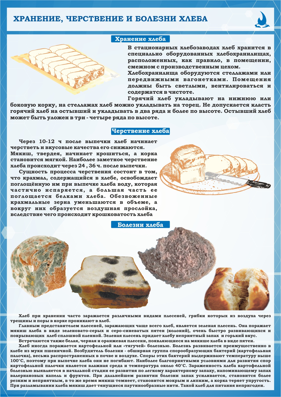 Плакат по охране труда Хранение, черствение и болезни хлеба