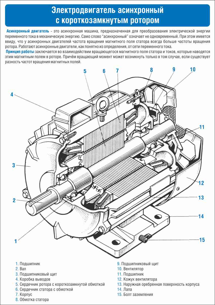 Плакат по охране труда Электродвигатель асинхронный с короткозамкнутым ротором (в разрезе, с пояснениями)