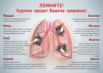 Плакат о вреде курения (А2) (594х420; Пластик ПВХ 4 мм, ПЭТ, алюминиевый профиль)