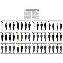 Информационный плакат Военная форма одежды